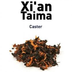 Caster Xian Taima Caster Xian Taima